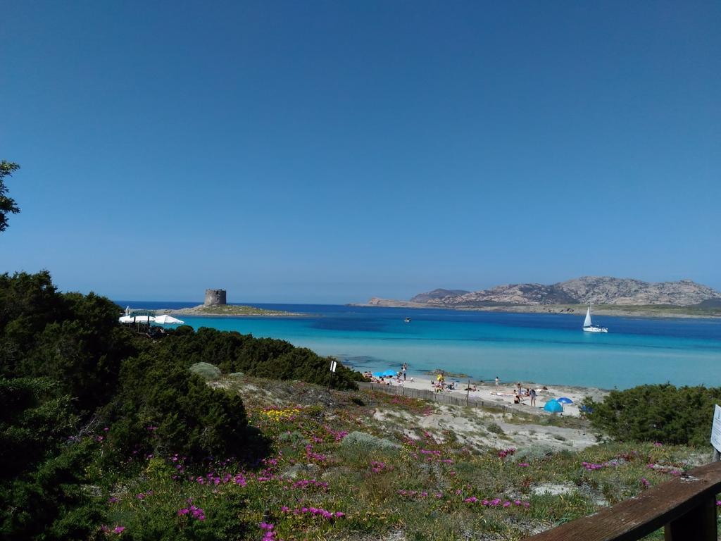 Il Geranio Villa Badesi Esterno foto